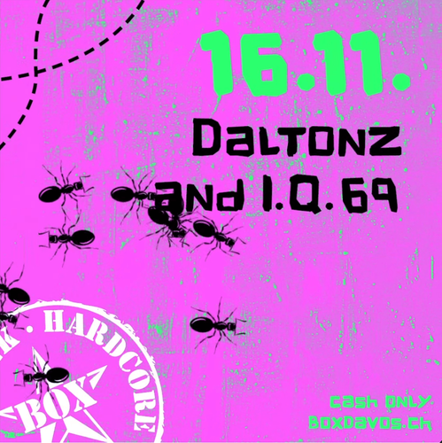 I.Q.69, Daltonz @ Box Davos